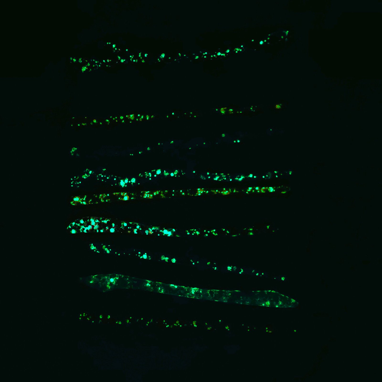 Glowing Hair Sticks